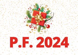Krásné Vánoce a úspěšný rok 2024!