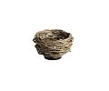 NEST 80