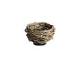 NEST 70