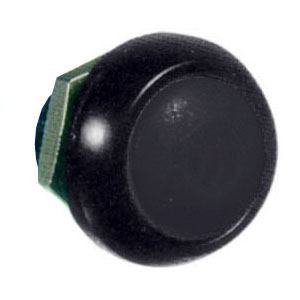ISR_black