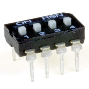 D1004