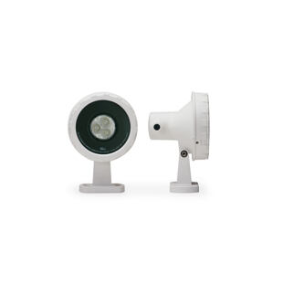 D17 P LED