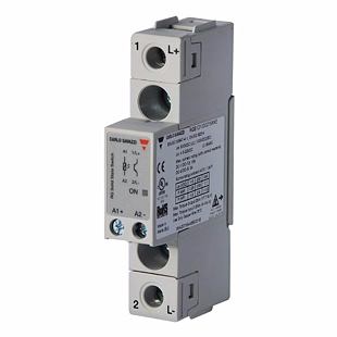 RGS1D1000