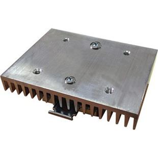 RHS10015 Heatsink SSR 2xRM RAM RS 4,0KW