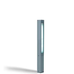 D49-B2
