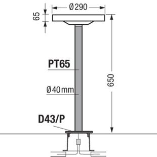D43-PT65
