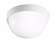 DROP 25 WHITE 005010
