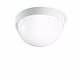 DROP 20 WHITE 005000